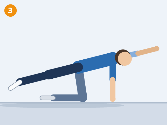 Illustration of a person in the bird dog position on the opposite side, the other arm and leg extended